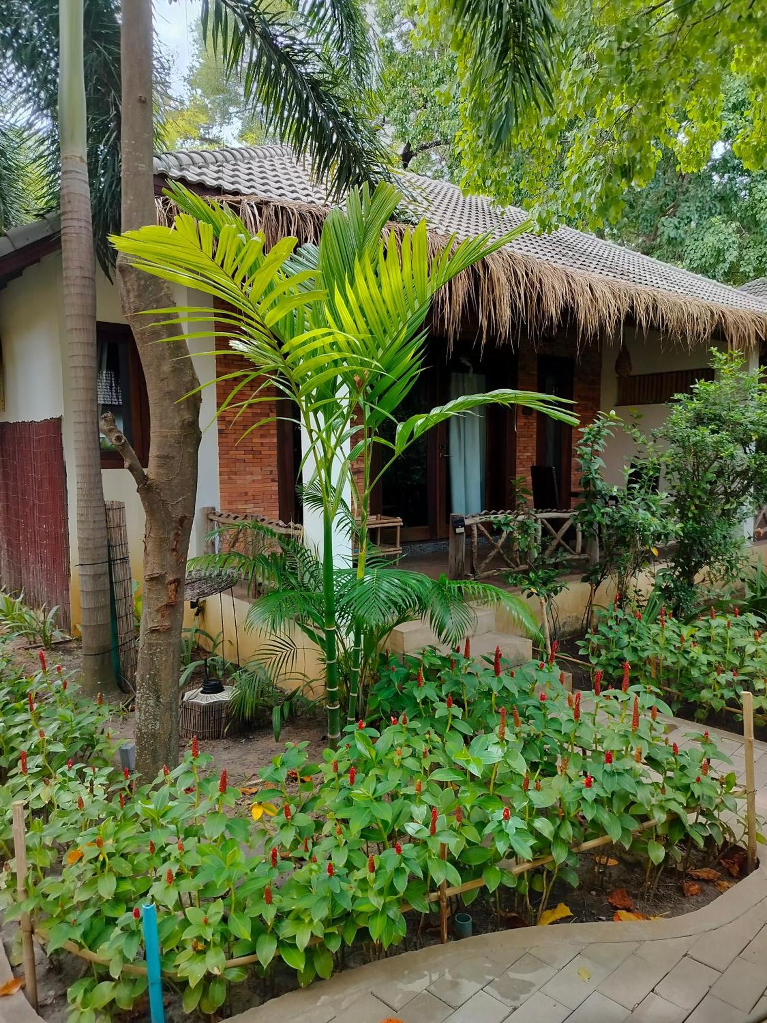 La Riviere D' Angkor Resort Siem Reap Exteriör bild